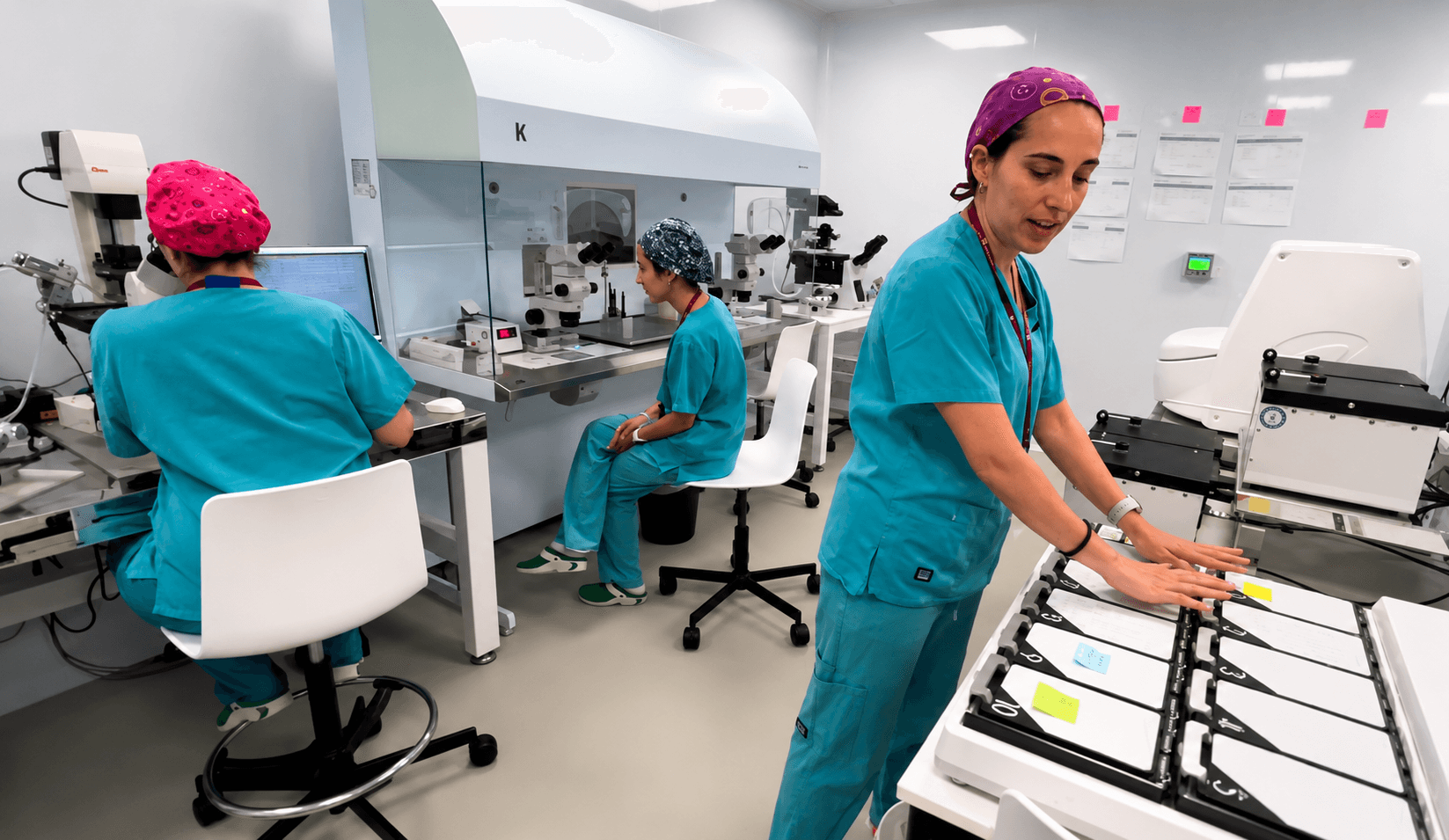 Behind the Clinic Doors: A First-Hand Look Inside Reproclinic