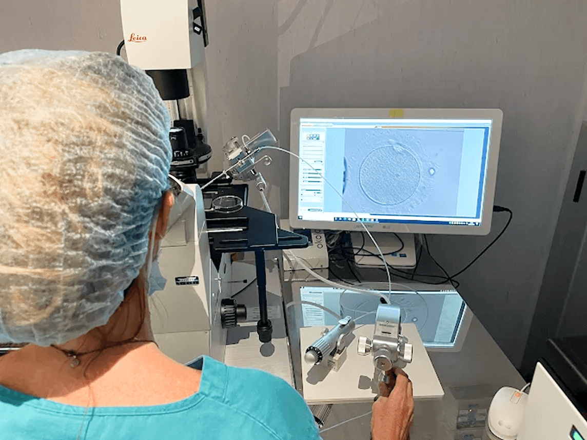 Fresh or Frozen Donor Eggs: webinar with embryologist Aina Canyelles