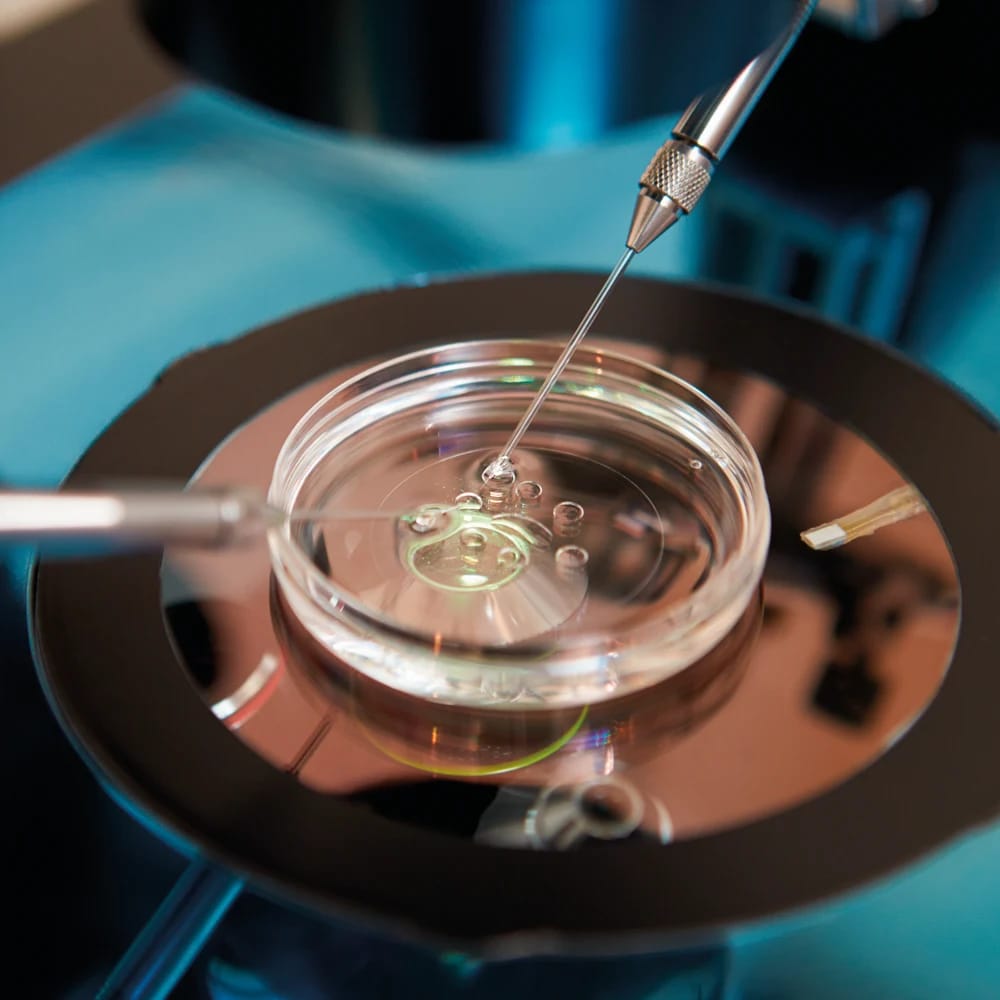 Honoring the Miracle of IVF and the Experts Behind the Scenes: Celebrating World IVF Day & Embryologists’ Day