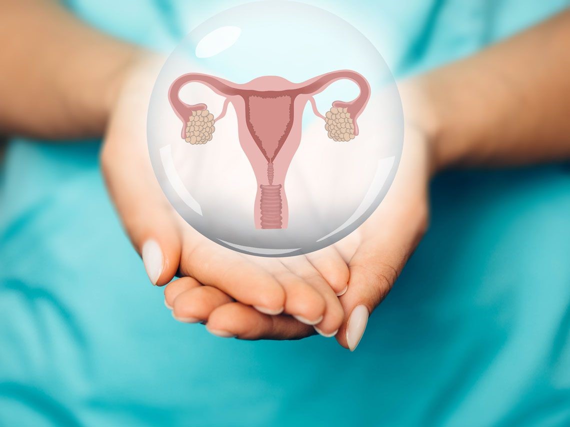 Microbiota endometrial y su afectación en la fertilidad